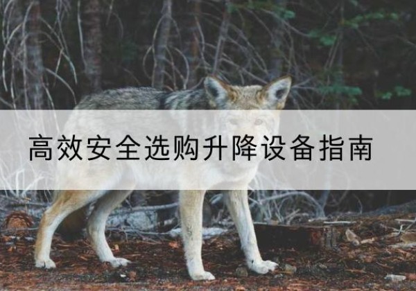 衢州升降货梯厂家推荐-*安全选购升降设备指南