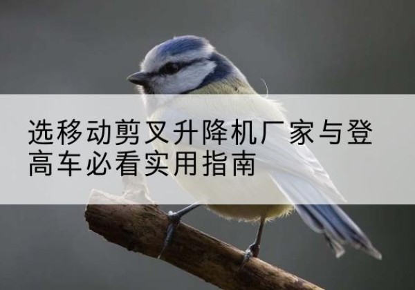 衢州电动升降机厂家-选移动剪叉升降机厂家与登高车必看实用指南