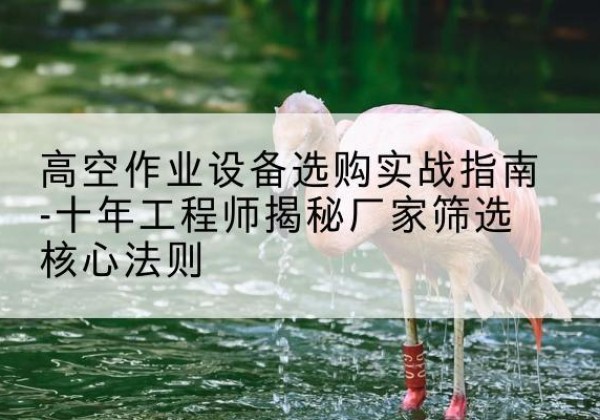 衢州剪叉式升降机厂家-高空作业设备选购实战指南-十年工程师揭秘厂家筛选核心法则